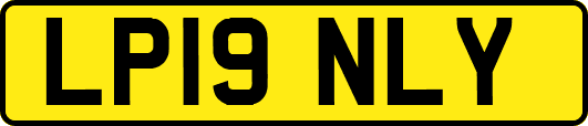 LP19NLY
