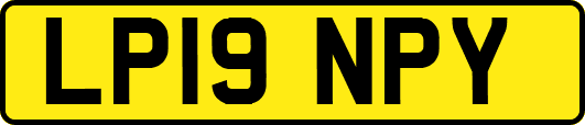 LP19NPY