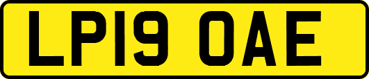 LP19OAE