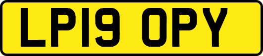 LP19OPY