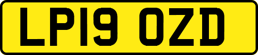 LP19OZD