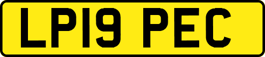 LP19PEC