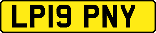 LP19PNY