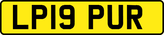 LP19PUR