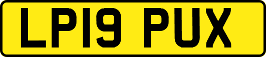 LP19PUX