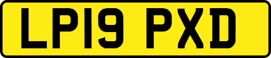 LP19PXD