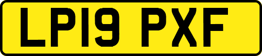 LP19PXF