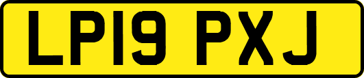 LP19PXJ