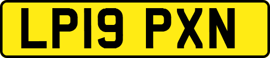 LP19PXN