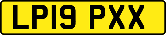 LP19PXX