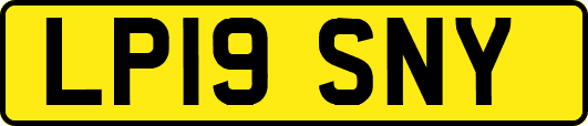 LP19SNY
