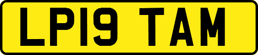 LP19TAM
