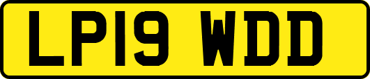 LP19WDD