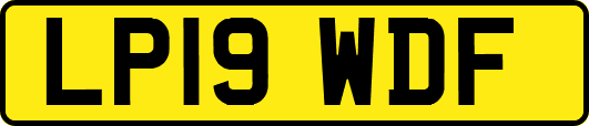 LP19WDF