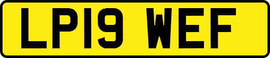 LP19WEF