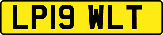 LP19WLT