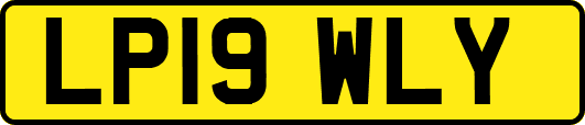 LP19WLY