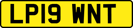 LP19WNT