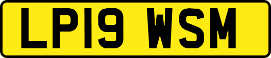 LP19WSM