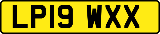 LP19WXX