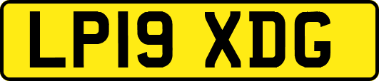 LP19XDG