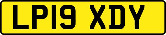 LP19XDY