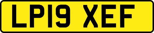 LP19XEF