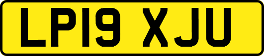 LP19XJU