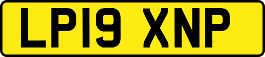 LP19XNP