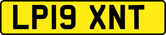 LP19XNT