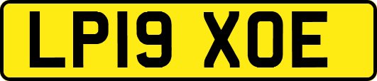 LP19XOE