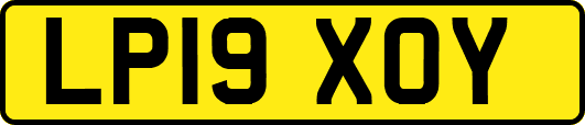 LP19XOY