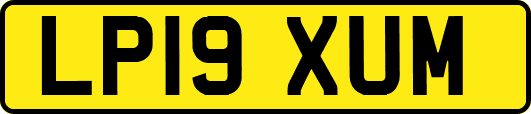 LP19XUM