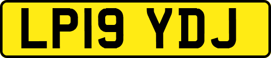 LP19YDJ