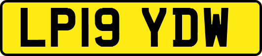 LP19YDW