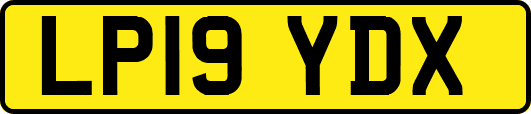 LP19YDX
