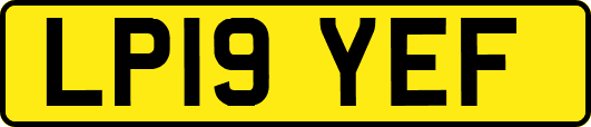 LP19YEF