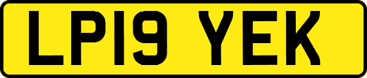 LP19YEK