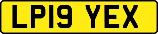 LP19YEX