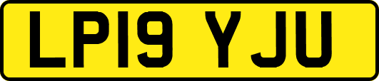 LP19YJU