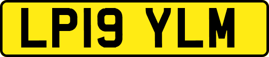 LP19YLM