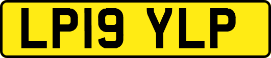 LP19YLP