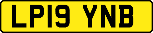 LP19YNB