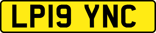 LP19YNC