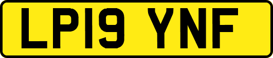 LP19YNF