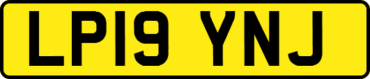 LP19YNJ