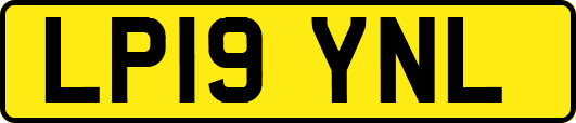 LP19YNL
