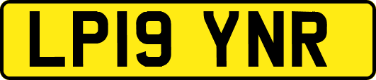 LP19YNR
