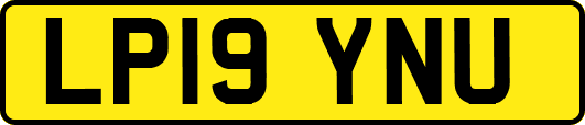 LP19YNU