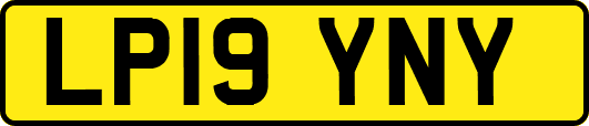 LP19YNY